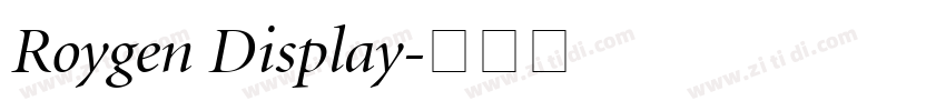 Roygen Display字体转换